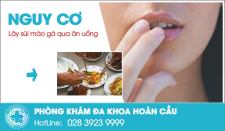 Nguy cơ lây sùi mào gà qua ăn uống! Thật khó đỡ
